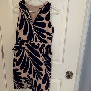 Ann Taylor dress
